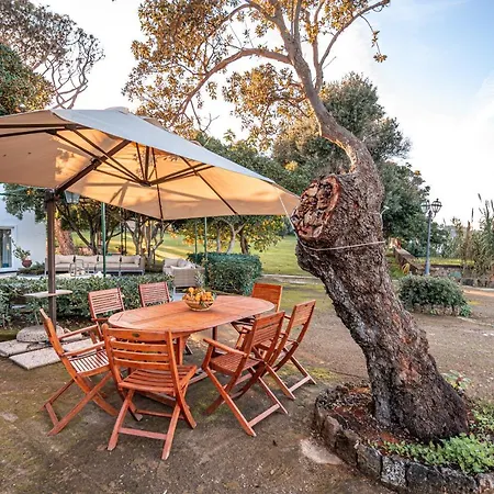 Serao By Myvillacollection イスキア島